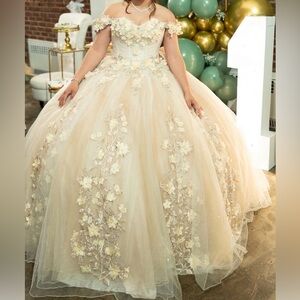 Vizcaya Ivory Floral Ball Gown for Sweet 16’s or Quinceañeras